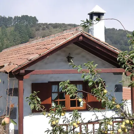 Holiday home La Cuna *