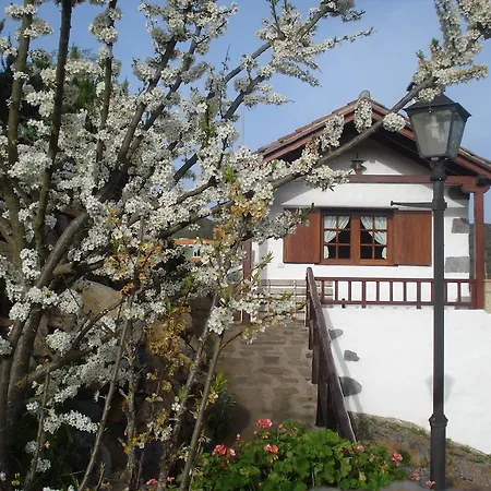 La Cuna 洛斯瑟罗斯